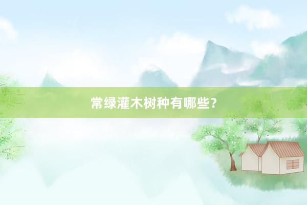 常绿灌木树种有哪些？