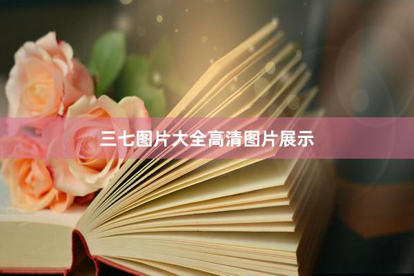 三七图片大全高清图片展示