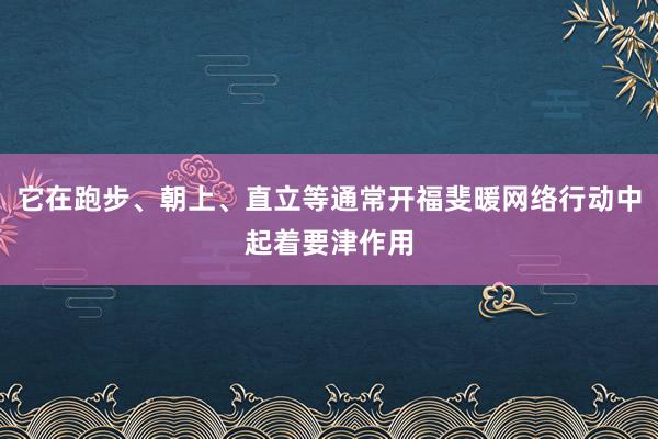 它在跑步、朝上、直立等通常开福斐暖网络行动中起着要津作用